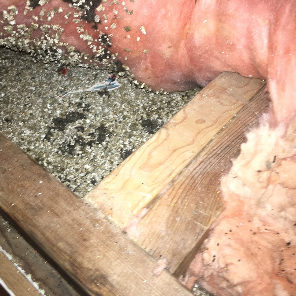 Ultimate Insulation - Attic Experts | 1322 Elliott St, Regina, SK S4N 3G3, Canada | Phone: (306) 205-7366