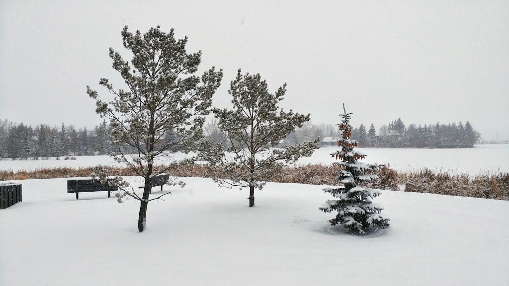Westminster Park | 3304 Westminster Rd, Regina, SK S4V 0S4, Canada | Phone: (306) 777-7000