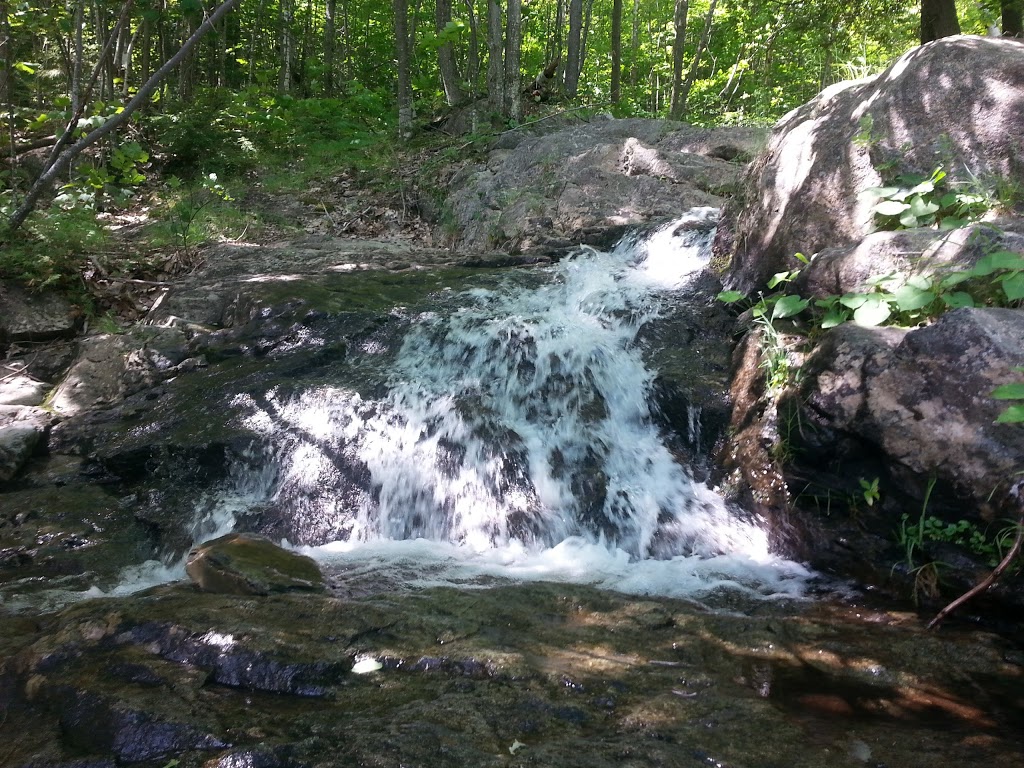 Sentier du ruisseau | 1266 QC-112, Austin, QC J0B 1B0, Canada