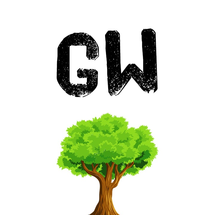 GreenWood Multimedia | 61 Rue Mailhot, Victoriaville, QC G6P 6R5, Canada | Phone: (819) 806-7613