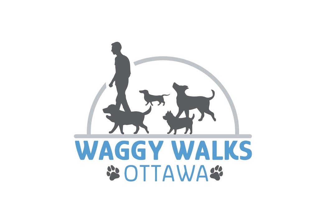 Waggy Walks Ottawa | 1204 Cavallo St, Stittsville, ON K2S 2B5, Canada | Phone: (613) 889-9432
