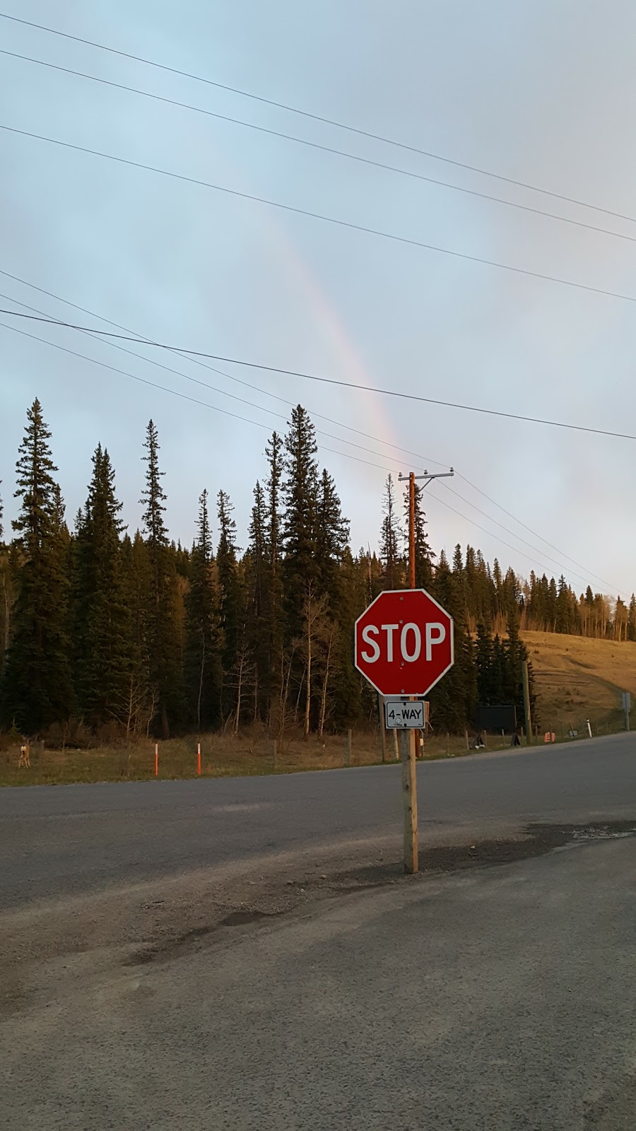 Shell | 17 Burnside Dr, Bragg Creek, AB T0L 0K0, Canada | Phone: (403) 949-3990