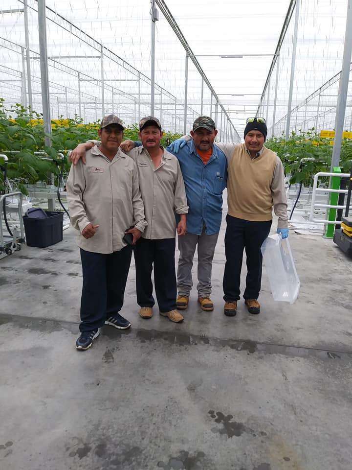 Vine Fresh Acres Ltd. | 420 Essex Road 14, Leamington, ON N8H 3V8, Canada | Phone: (519) 326-8808