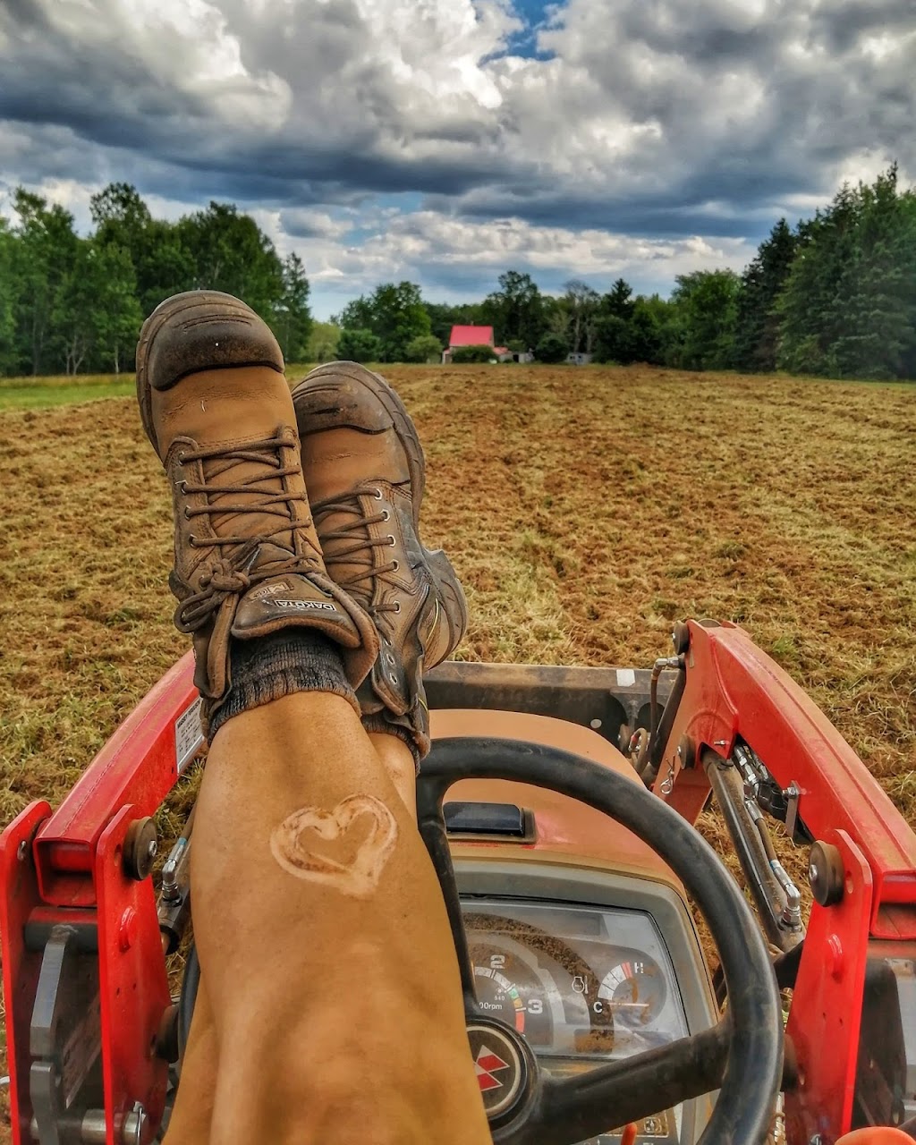 Honeywwoofer Homestead | 163 Alton Rd, Springfield, NS B0R 1H0, Canada | Phone: (705) 344-4362