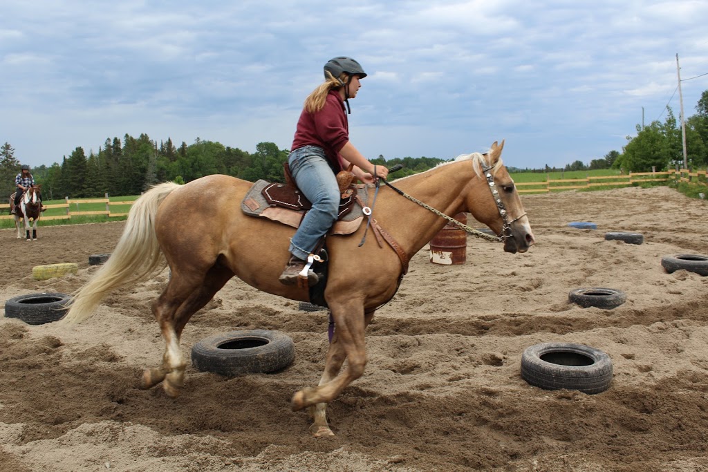 Villeneuve Ranch | 327 La Cloche Lake Rd, Massey, ON P0P 1P0, Canada | Phone: (705) 869-8852