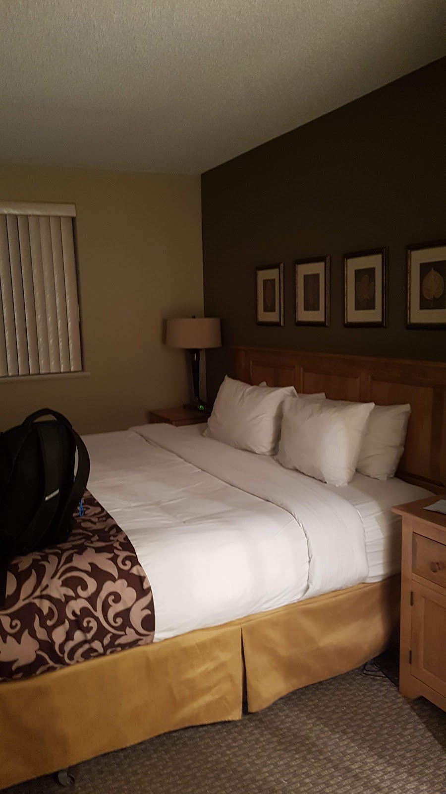 Snowbird | 4865 Painted Cliff Rd, Whistler, BC V0N 1B4, Canada | Phone: (800) 665-5858