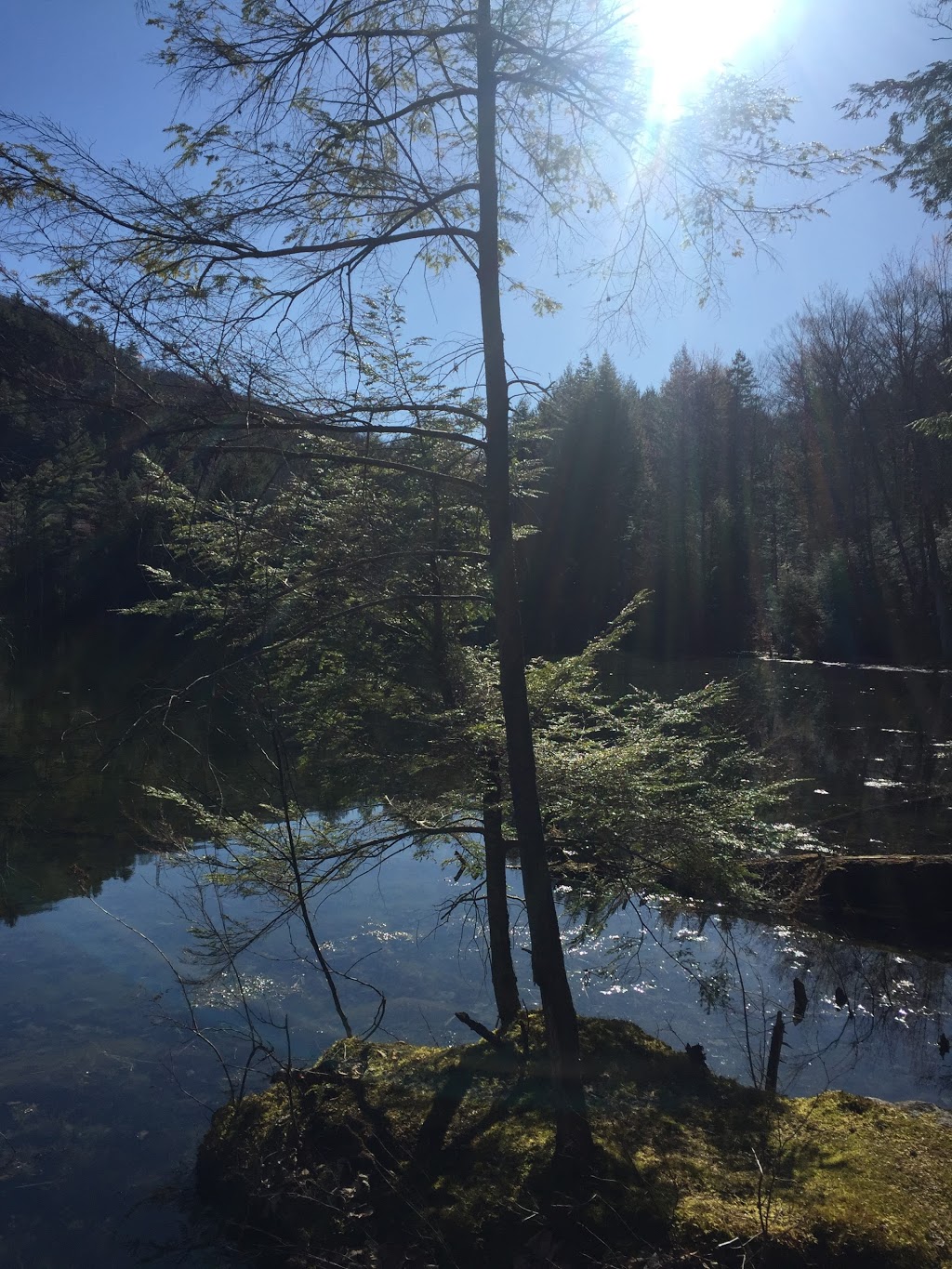 Alfred Kelly Nature Reserve | 1272 Rue de la Traverse, Prévost, QC J0R 1T0, Canada
