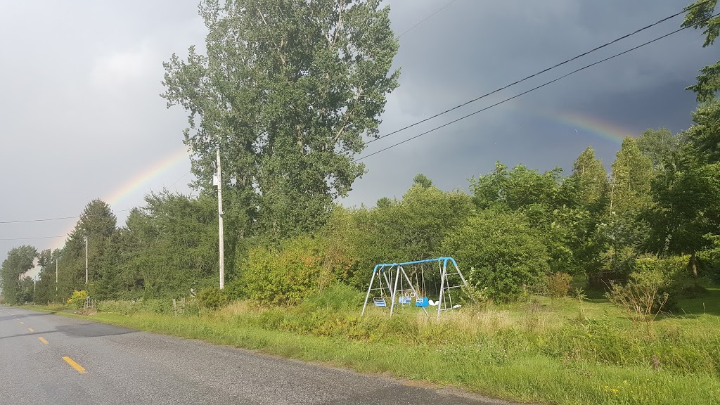 Bleuetière aux Petits Délices | 957 6e Rang, Saint-Jude, QC J0H 1P0, Canada | Phone: (450) 792-3922
