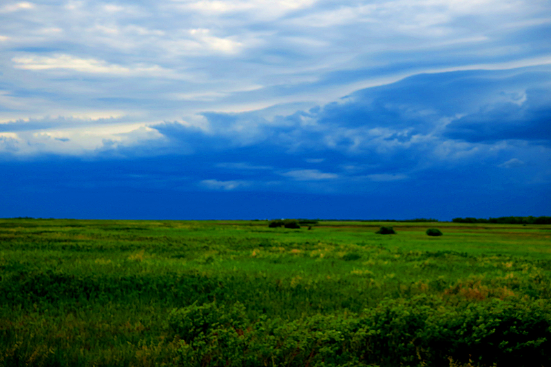 Last Mountain Regional Park | Govan, SK S0G 1Z0, Canada | Phone: (306) 484-4483