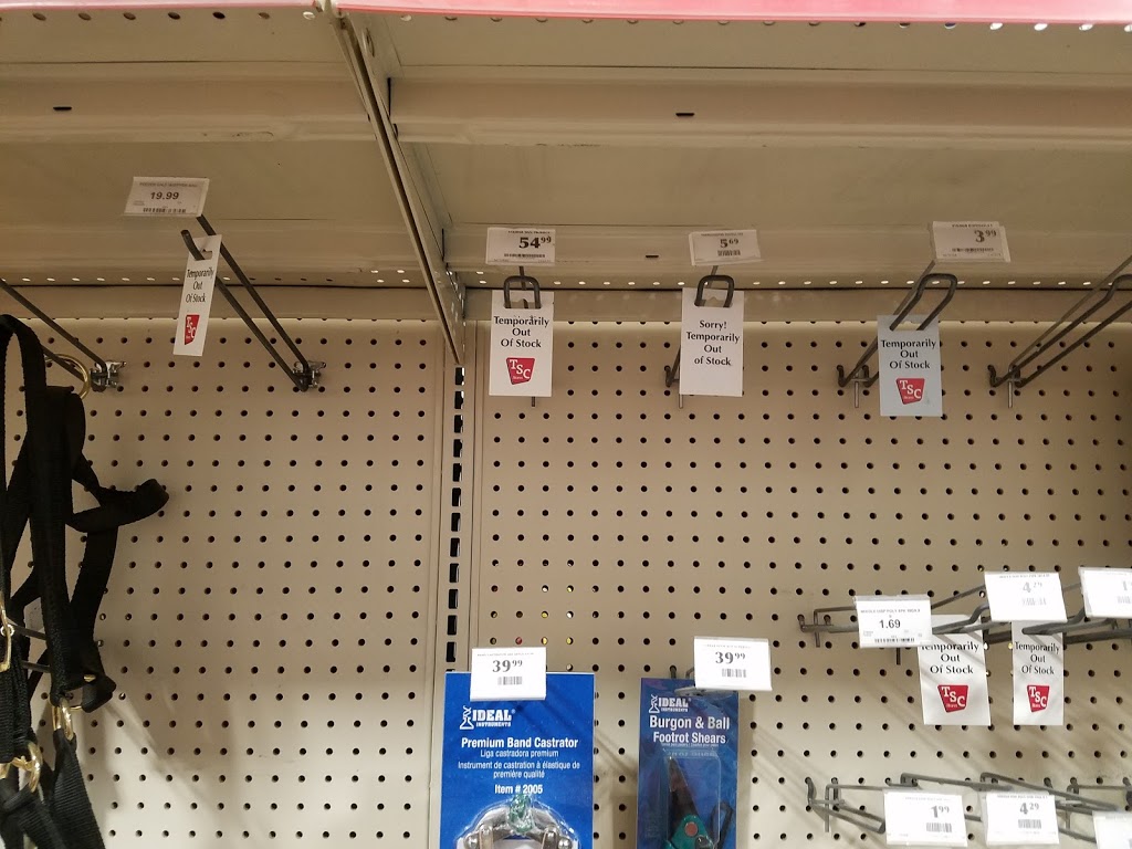 TSC Stores | 115 Edward St, St Thomas, ON N5P 3W8, Canada | Phone: (519) 637-8996