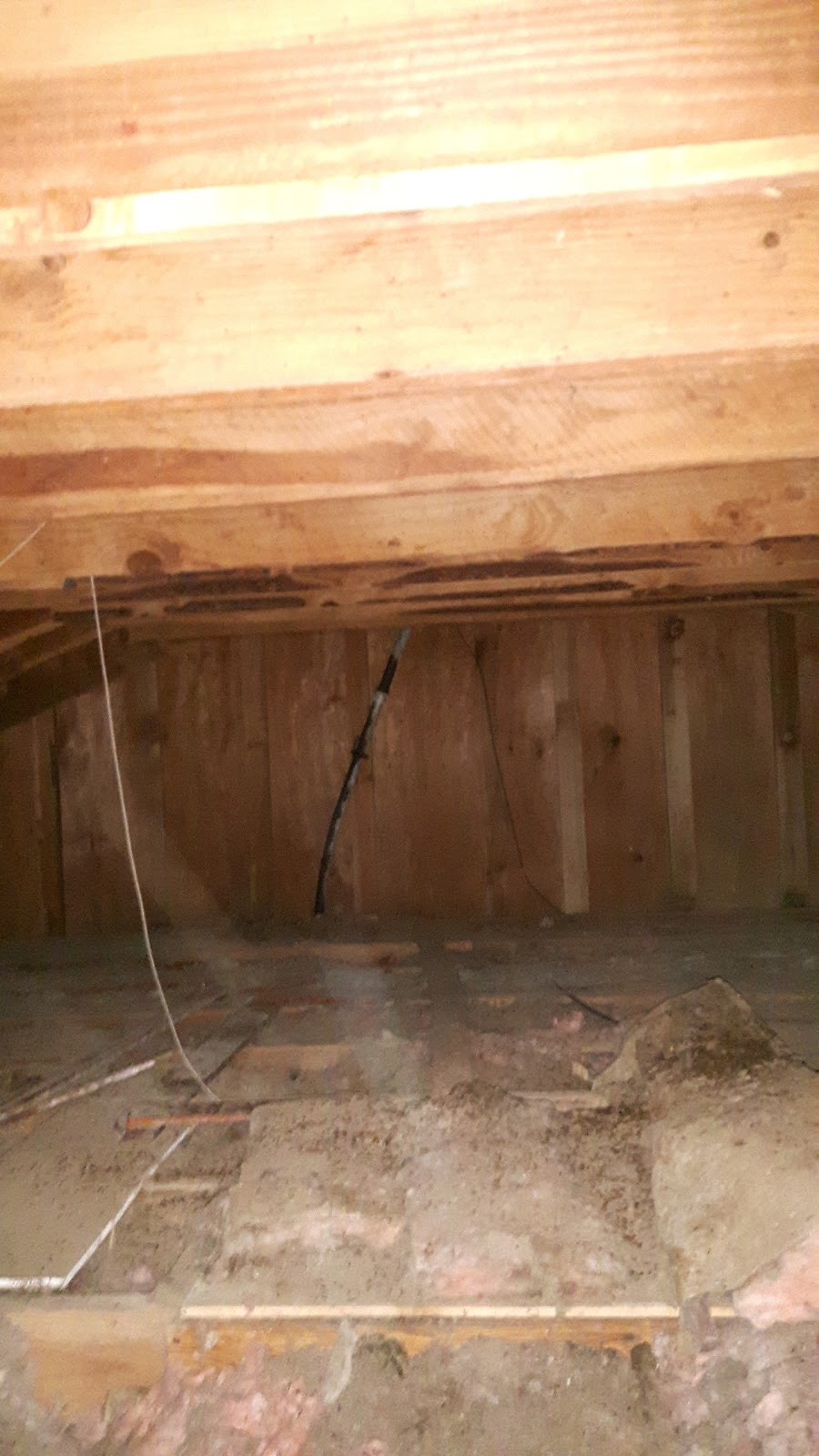 Blue Max Drilling Inc. | 2593 Lake Trail Rd, Courtenay, BC V9N 9K8, Canada | Phone: (778) 237-2583