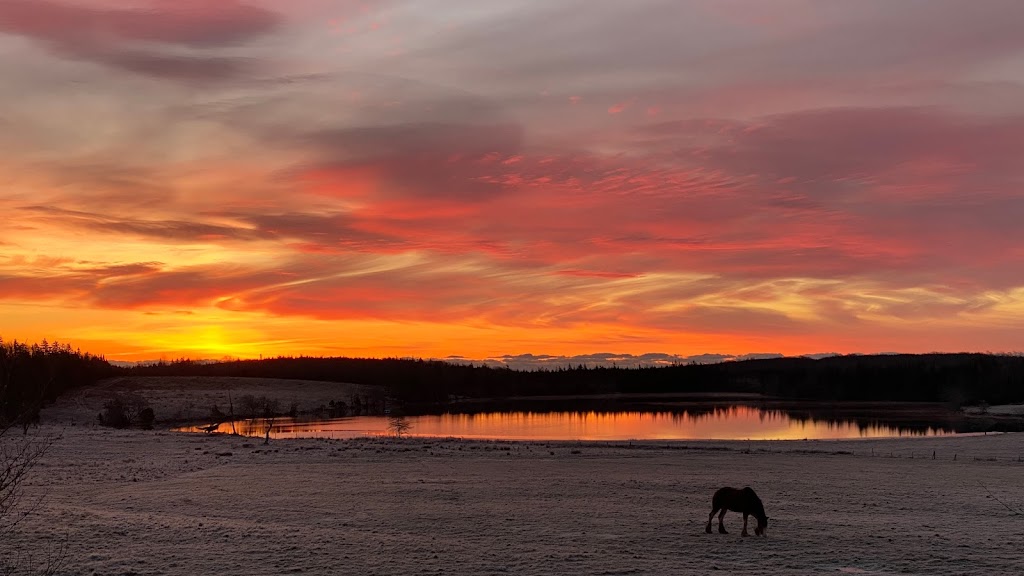 Lindsay Lake Country Estate Farms & Lodge | 211 Lindsay Lake Rd, Middle Musquodoboit, NS B0N 1X0, Canada | Phone: (902) 384-2773