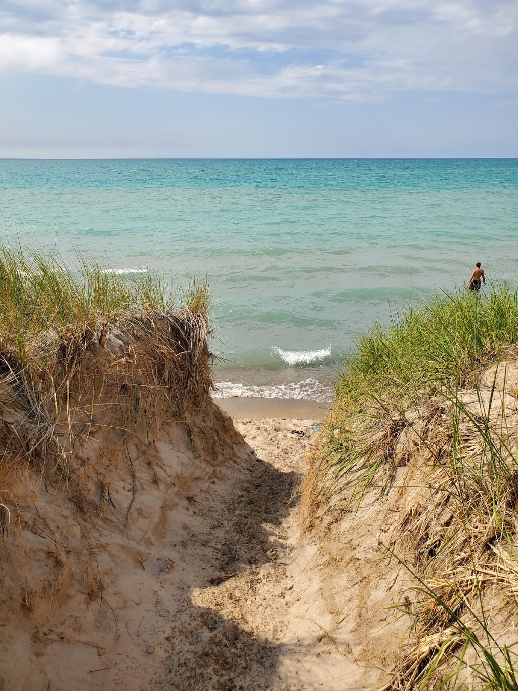Pinery Provincal Park Dog Beach Area 1 | Lambton Shores, ON N0M 1T0, Canada