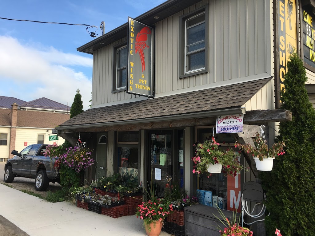 Exotic Wings & Pet Things | 3561 Lobsinger Line, St. Clements, ON N0B 2M0, Canada | Phone: (888) 276-0031