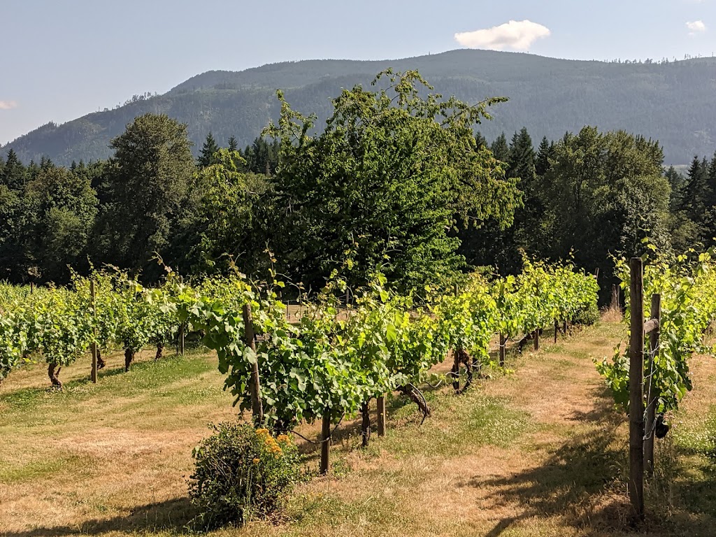 Zanatta Winery | 5039 Marshall Rd, Duncan, BC V9L 6S3, Canada | Phone: (250) 748-2338