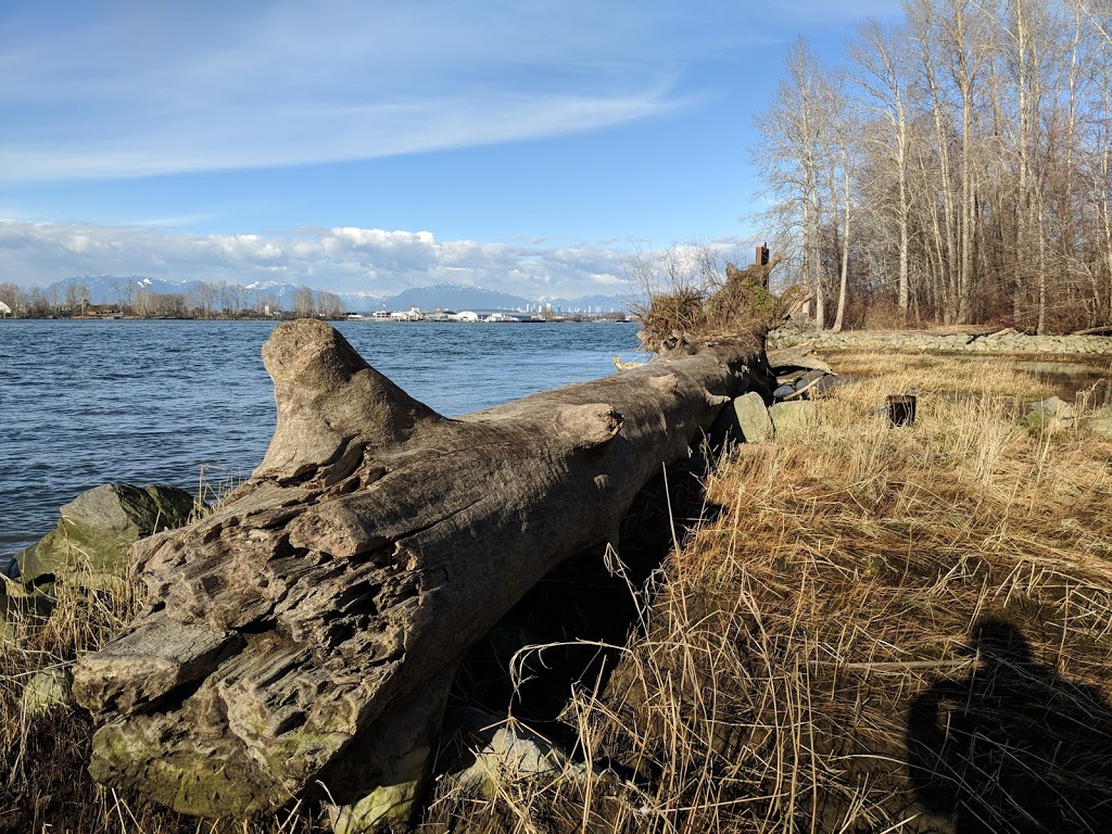 Island Tip Trail | Unnamed Road, Delta, BC V4K, Canada