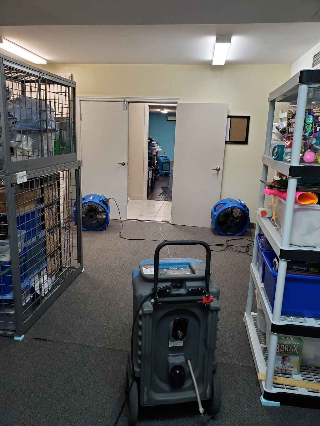 Kleenit Home & Office Services | Cameron St, Belle Ewart, ON L0L 1C0, Canada | Phone: (888) 980-1529