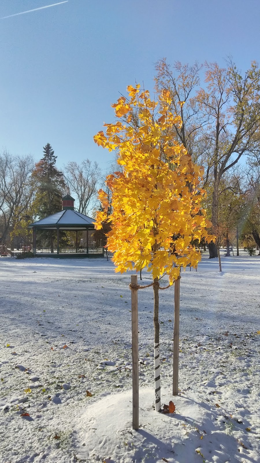Royal City Park | 139 Gordon St, Guelph, ON, Canada