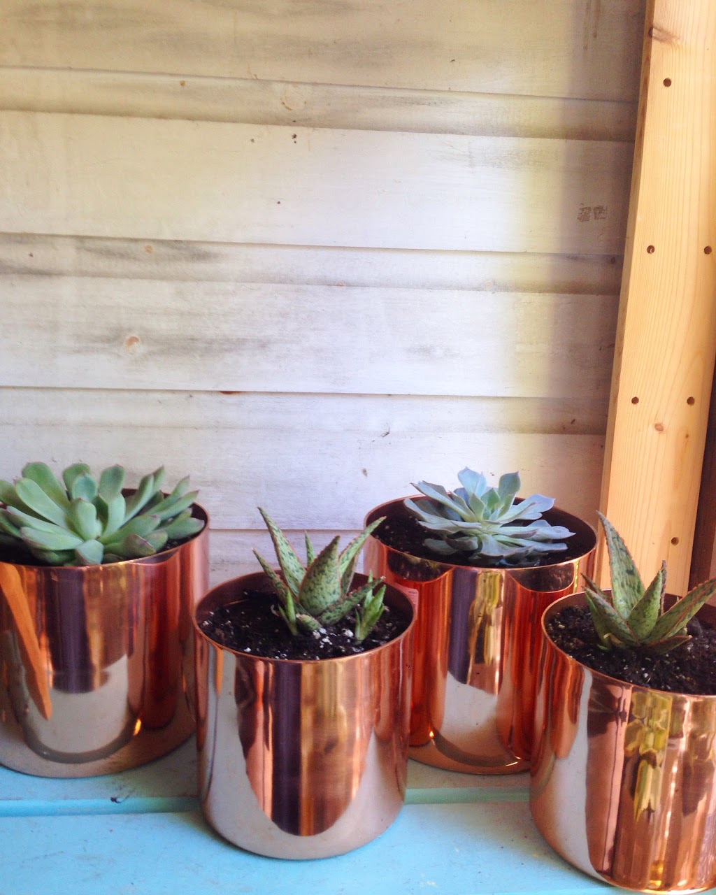 CABIN By Twb co. | 6 Rice St, Rosseau, ON P0C 1J0, Canada | Phone: (905) 808-2488