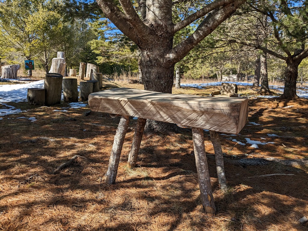 Nature Learning and Play Space | 12014 NS-224, Middle Musquodoboit, NS B0N 1X0, Canada | Phone: (902) 384-3420