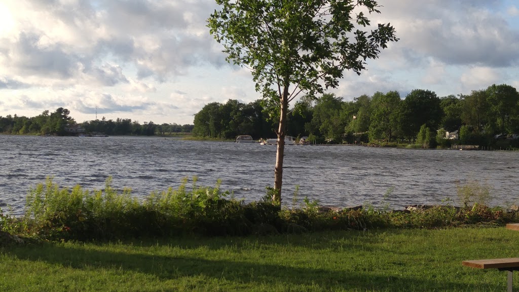 Silverstone family campground | 156 Gerhardt Rd, Waubaushene, ON L0K 2C0, Canada | Phone: (416) 528-5918