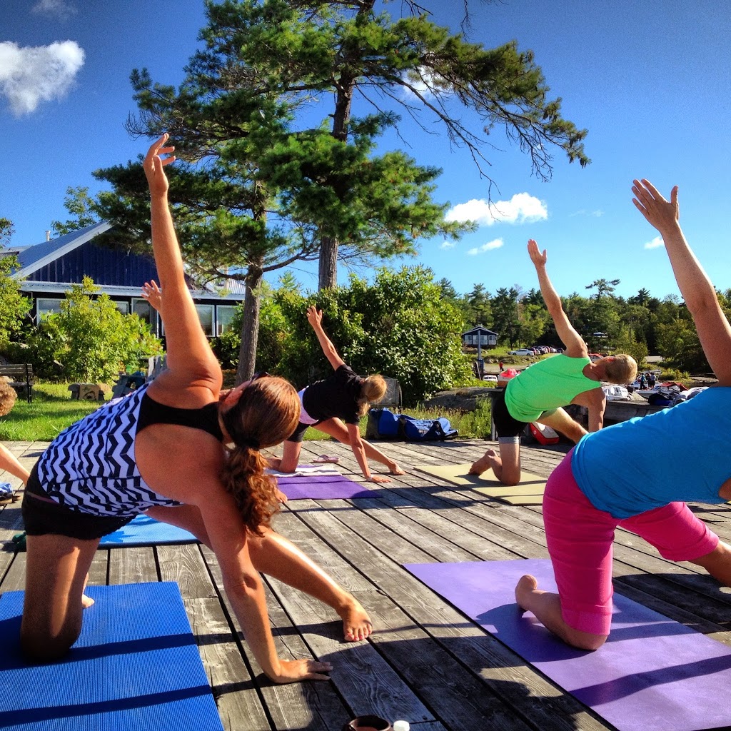 Active Turtle | 3145 Muskoka District Road 169 Unit # 2, Bala, ON P0C 1A0, Canada | Phone: (705) 641-0513