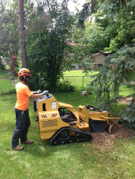 Hilltop Tree Care | 112 Guelph St, Georgetown, ON L7G 4T1, Canada | Phone: (905) 877-5279