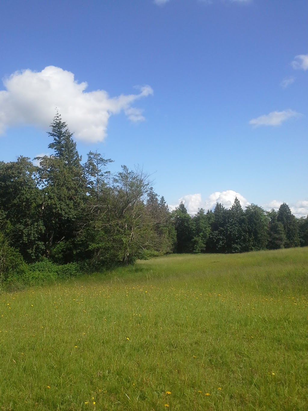 Whatcom County Parks & Rec | 3373 Mt Baker Hwy, Bellingham, WA 98226, USA | Phone: (360) 733-2900