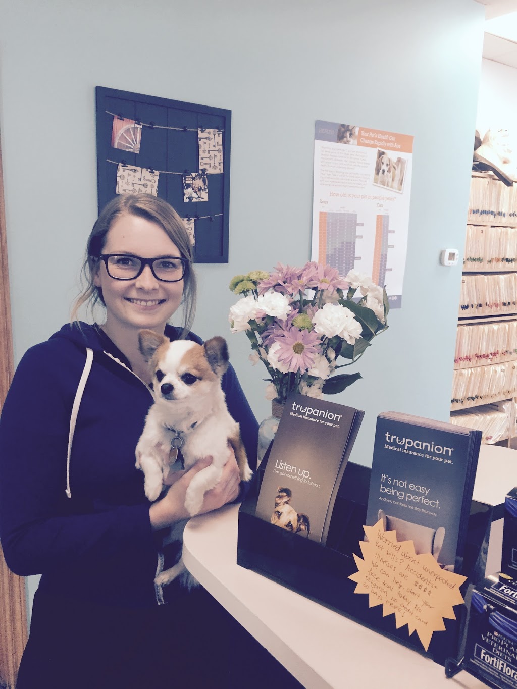 Newmarket Animal Hospital | 340 Eagle St W, Newmarket, ON L3Y 7M9, Canada | Phone: (905) 895-2512