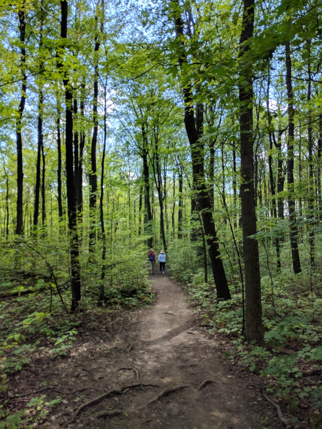 Kerncliff Park | 2198 Kerns Rd, Burlington, ON L7P 1P8, Canada | Phone: (905) 335-7600