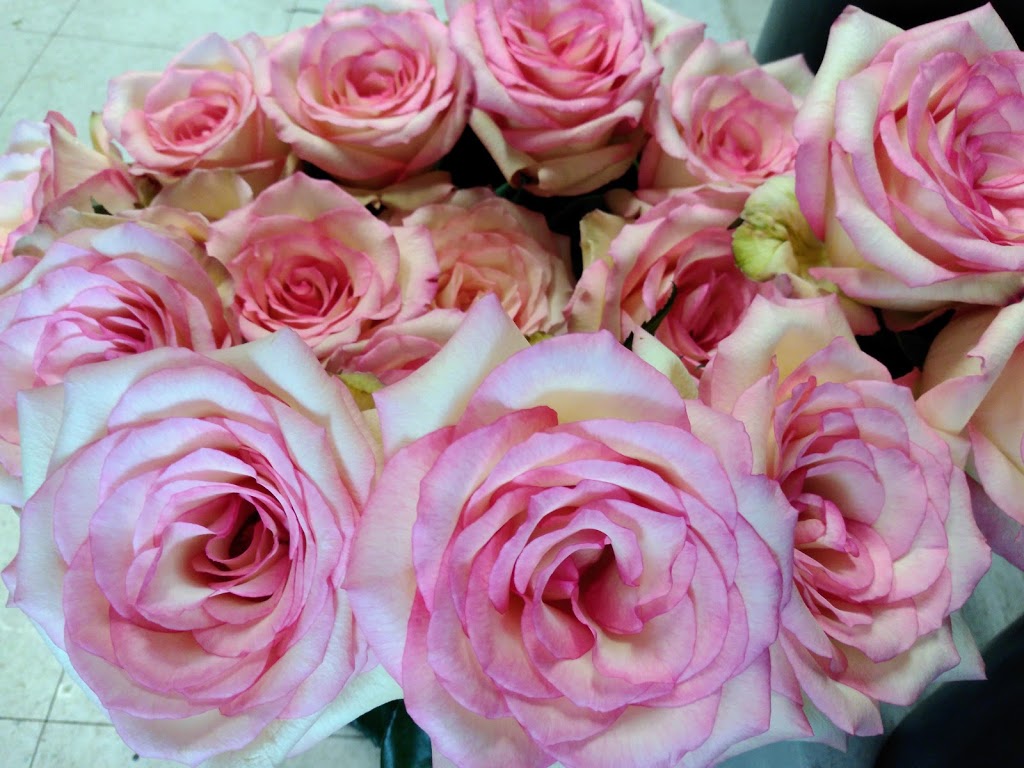 Quinn and Kims Flowers | Box 385, 515 Ross Ave, Dalmeny, SK S0K 1E0, Canada | Phone: (306) 956-0601