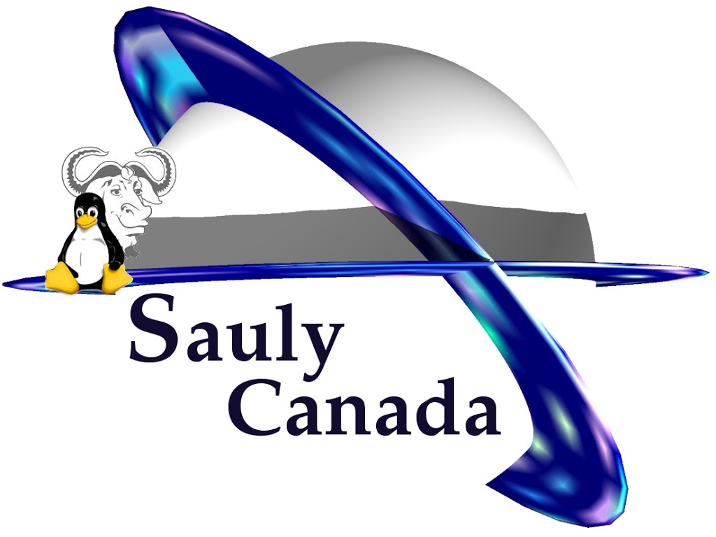 Sauly Canada | 92 Rue Saint-Georges, Windsor, QC J1S 1J8, Canada | Phone: (819) 845-9011