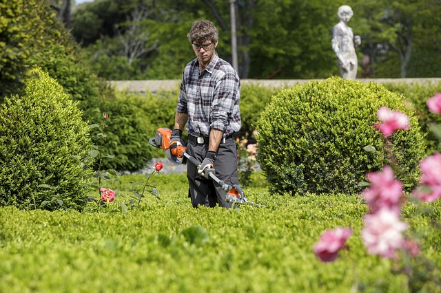Dartmouth Landscaping Localturf | 9 Roblea Dr, Dartmouth, NS B2W 1Y6, Canada | Phone: (902) 702-3092