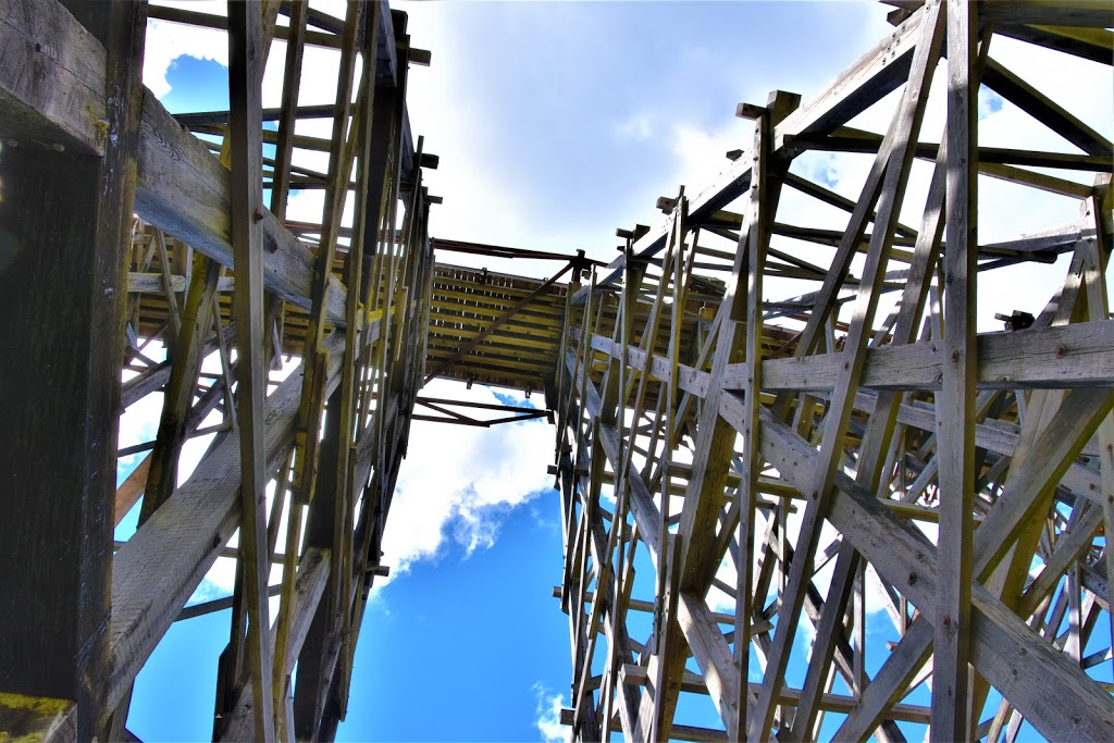 Kinsol Trestle Parking Lot | Cowichan Valley B, BC V0R, Canada | Phone: (250) 746-2620