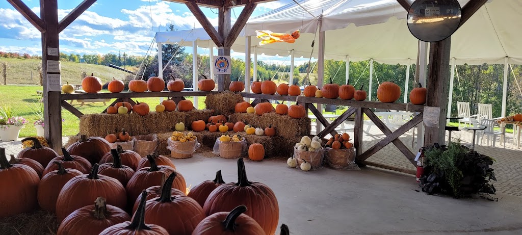 Huglis Blueberry Ranch, Country Market & Play Park | 2139 Greenwood Rd, Pembroke, ON K8A 6W2, Canada | Phone: (613) 638-1288