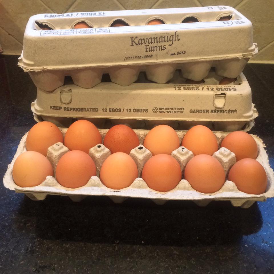 Kavanaugh Farms | 4533 Old Scugog Rd, Bowmanville, ON L1C 6T4, Canada | Phone: (289) 356-1029