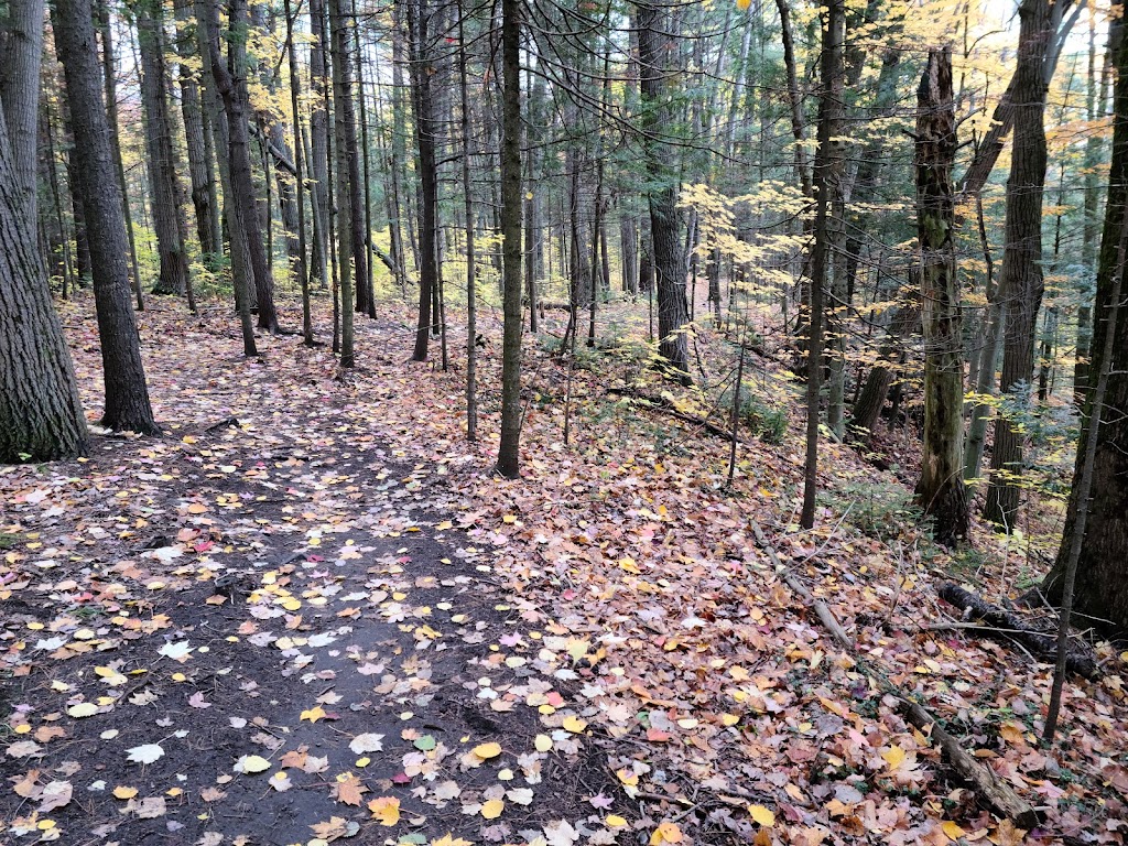 Parc Du Domaine Vert | 10423 Mnt Ste Marianne, Mirabel, QC J7J 2B1, Canada | Phone: (450) 435-6510