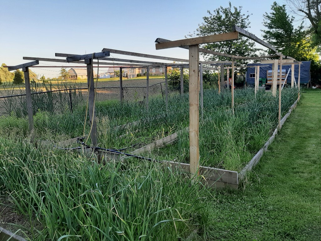 Twenty Road Market | 6465 Twenty Rd E, Hannon, ON L0R 1P0, Canada | Phone: (905) 546-7093