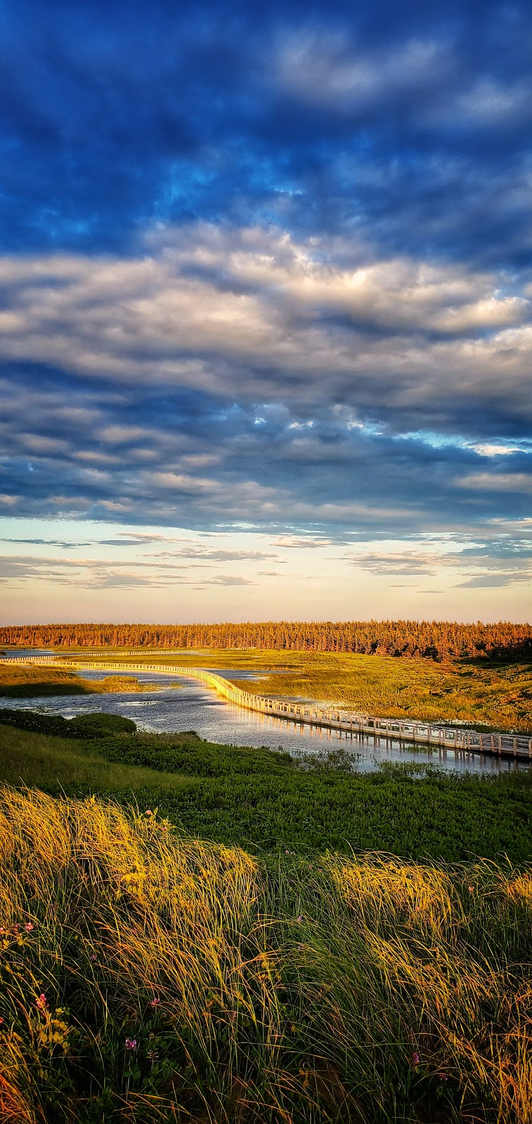 Greenwich Trailhead, Prince Edward Island National Park | 61 Greenwich Rd, Saint Peters Bay, PE C0A 2A0, Canada | Phone: (902) 672-6350