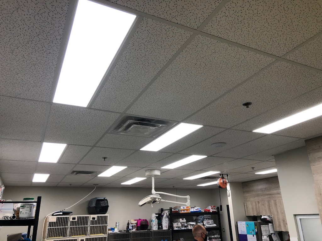 Brilliant Lighting Solutions (BL Solutions) | 206 Bd Brunswick, Pointe-Claire, QC H9R 5P9, Canada | Phone: (514) 800-4444