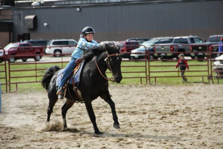 The Saddle Shack Custom Tack & Leatherwork | 271346, Grey Road 6, Mount Forest, ON N0G 2L0, Canada | Phone: (519) 323-0056