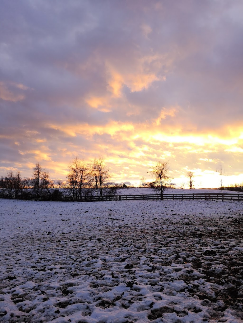 Lenka Equestrian Centre | 750 Concession 8 W, Puslinch, ON N0B 2J0, Canada | Phone: (905) 629-2238