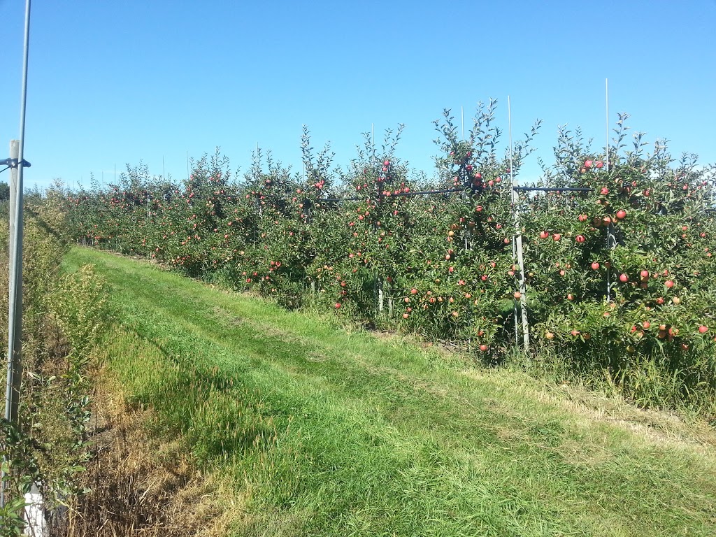 Archibald Orchards & Winery | 6275 Liberty St N, Bowmanville, ON L1C 6L1, Canada | Phone: (905) 263-2396