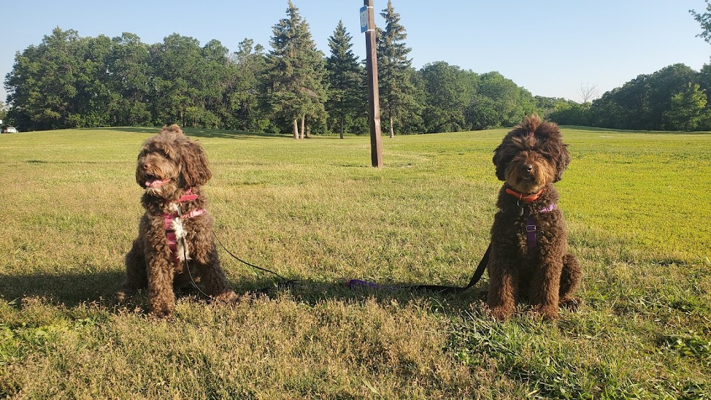 Creative K9 | Henderson Hwy, Winnipeg, MB R2L 0J9, Canada | Phone: (204) 391-9426