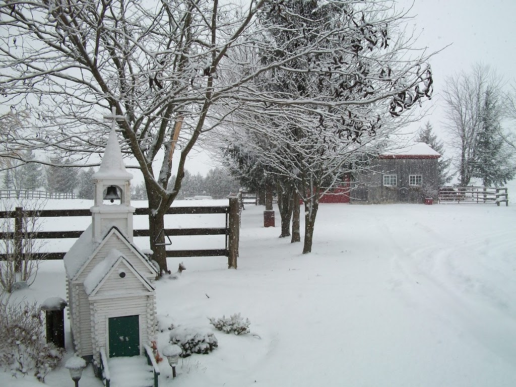 Windbreak Farm Wood Work | RR1, 5666 Line 26, Fullarton, ON N0K 1H0, Canada | Phone: (519) 229-6482