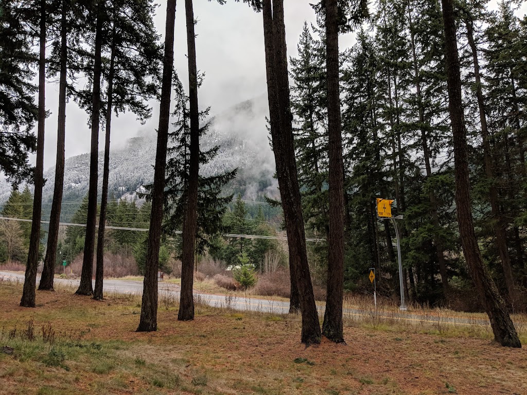 Karen Love Art | 7504 Pebble Creek Drive, Pemberton, BC V0N 2L0, Canada | Phone: (604) 698-7962