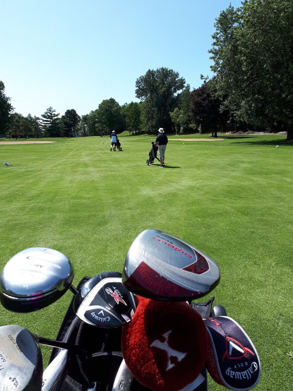 Club De Golf Donnacona | 359 Rue Notre Dame, Donnacona, QC G3M 1H3, Canada | Phone: (418) 285-1771