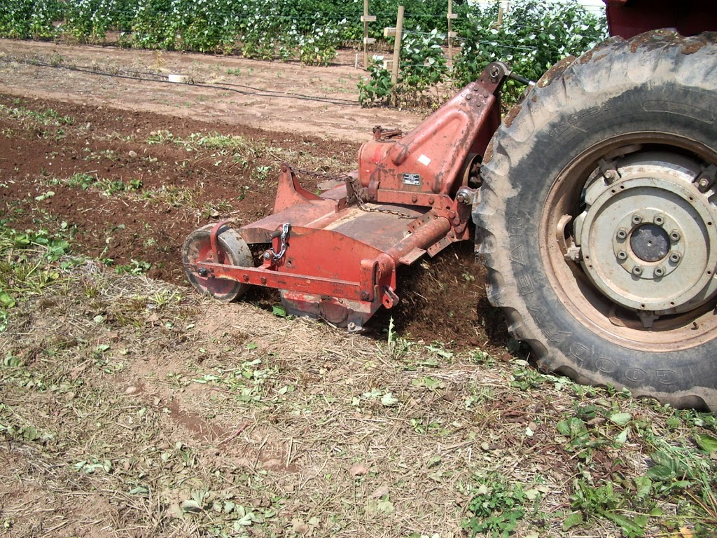 G W Allen Nursery Ltd | 7295 NS-221, Centreville, NS B0P 1J0, Canada | Phone: (902) 678-7519