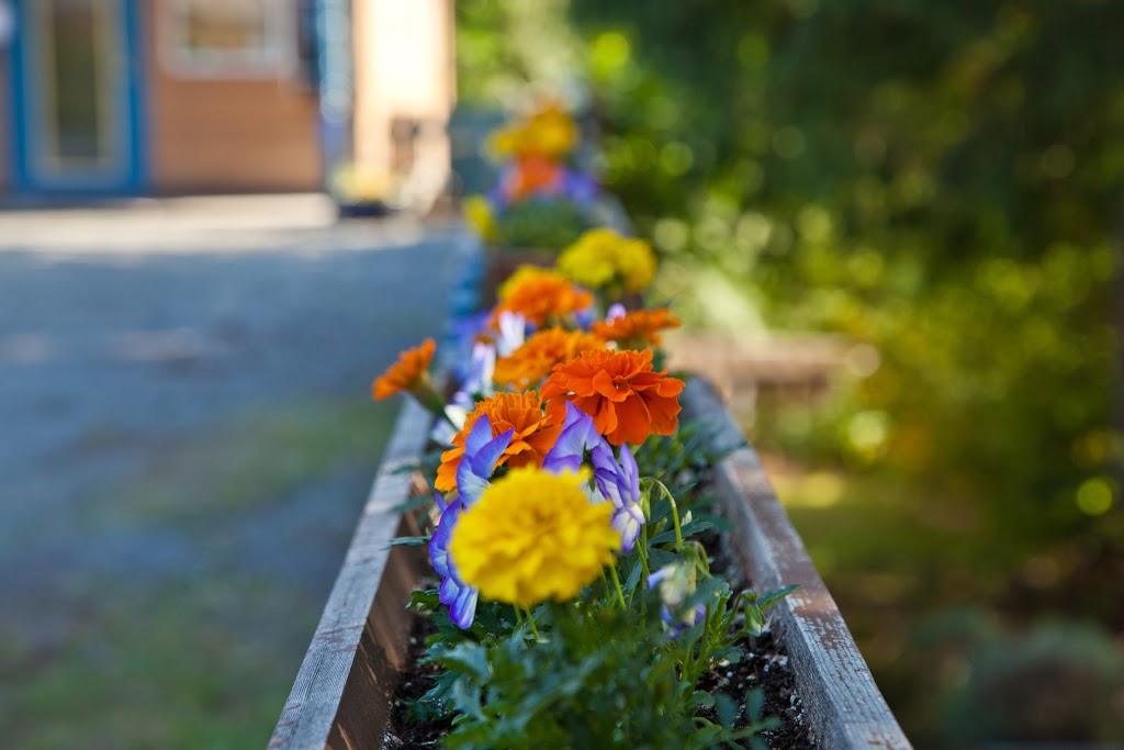 Mineral Springs Resort | 1460 N Beach Rd, Salt Spring Island, BC V8K 1J4, Canada | Phone: (250) 537-4111