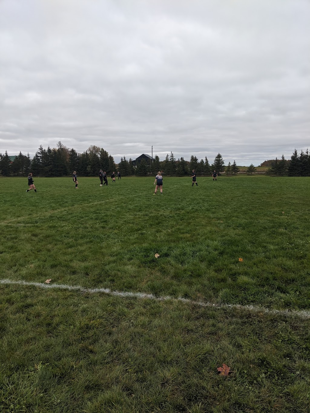 Tiverton Sports Arena | McLaren St, Tiverton, ON N0G 2T0, Canada | Phone: (519) 368-7225